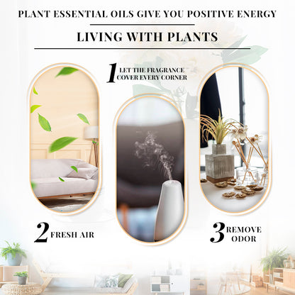 Aromatherapy Essential Oil 10ml Rose Lavender Single Essential Oil